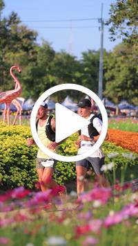 BIB:  <button type="button" onclick="openModal(27588632)" class="btn btn-primary btn-sm float-right" data-toggle="modal" data-target=".modal-high-quality">
                <i class="fa fa-download"></i> Download
                </button>